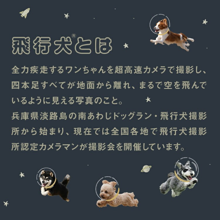『預訂』日本 hikouken 宇宙飛行犬×Wpc. 遮光隔熱晴雨天兩用折疊傘