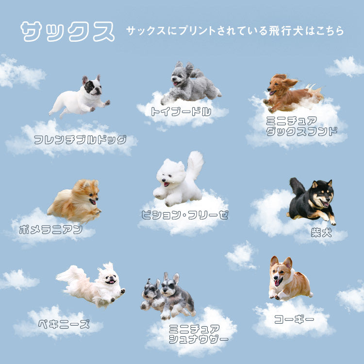 『預訂』日本 hikouken 飛行犬×Wpc. 遮光隔熱晴雨天兩用折疊傘